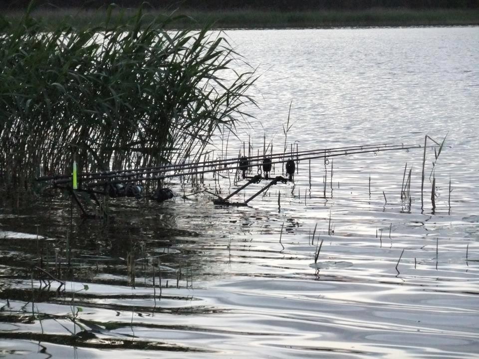 tot felu - 485246447430712006971147672285n.jpg